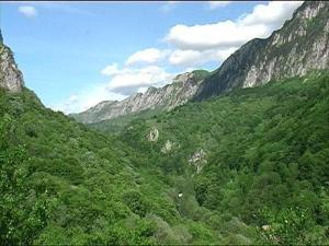 Nationalpark Cerna Tal